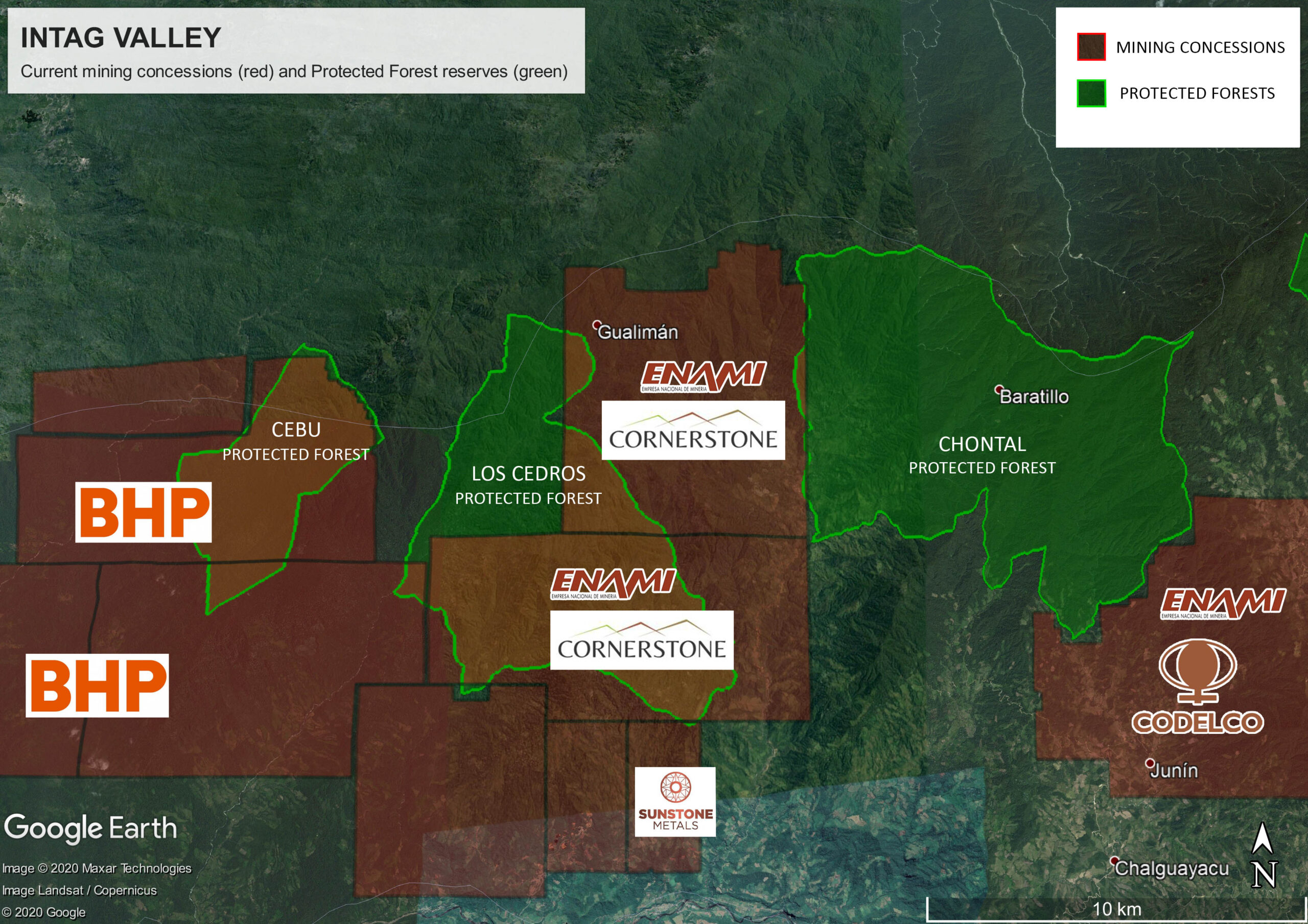 Científicos respaldan la protección de la Reserva Los Cedros en Ecuador